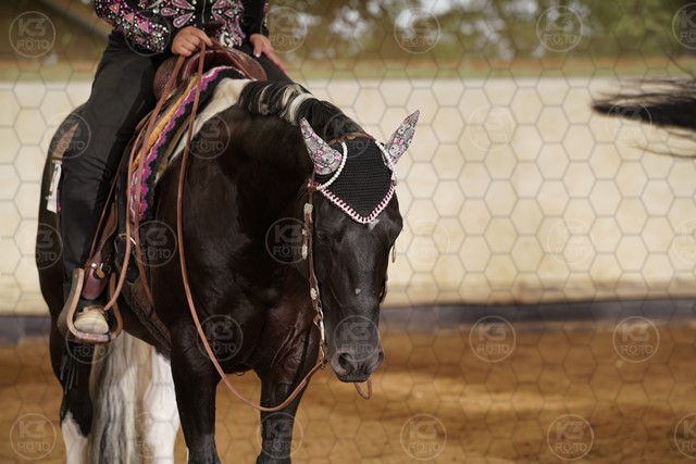 sK3F00893.JPG